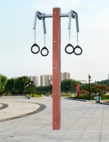 山东大菠萝入口